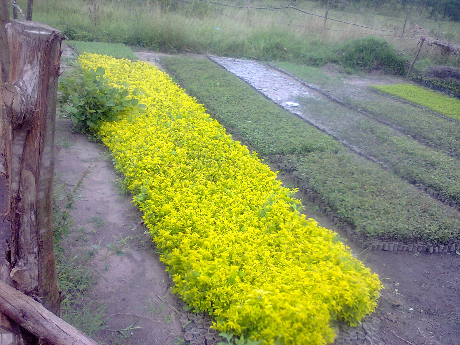 Photo0089